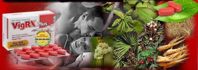 Vigrx plus offer New Zealand